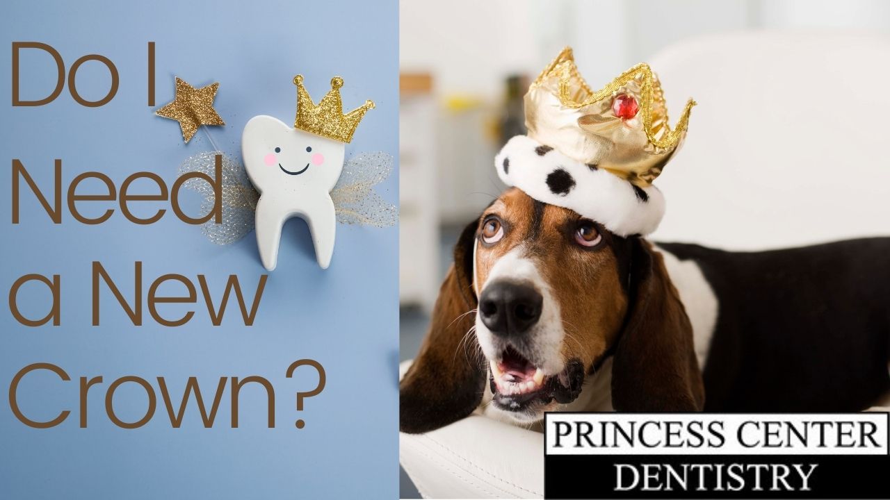 Dog with crown. Tooth. Do I need a new crown.